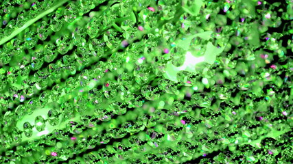 Wall Mural - green luxury crystal chandelier, ltransparent glass on the wind, modern closeup diversity