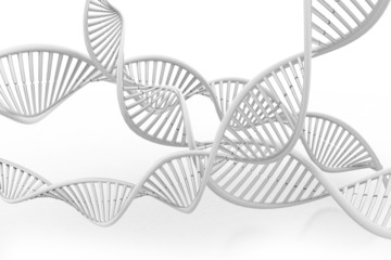 Wall Mural - DNA molecule.