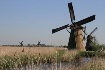 Dutch Windmill, Kinderdijk UNESCO site