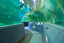 Aquarium Underwater Tunnel