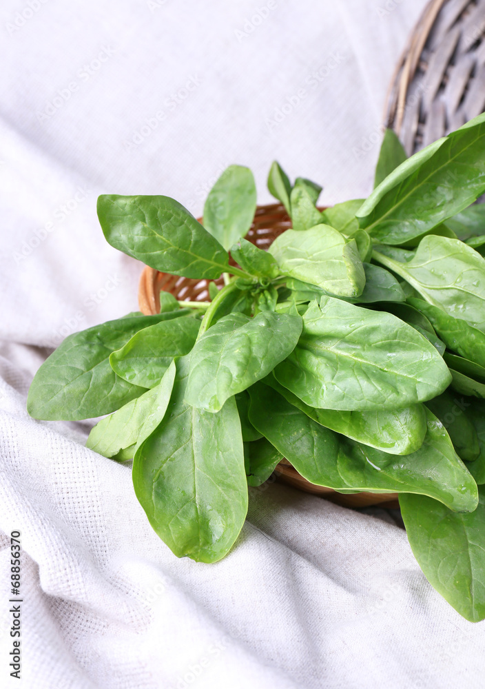 Fresh sorrel in round wicker basket on napkin closeup