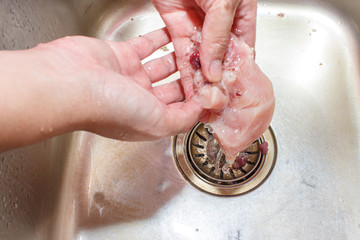 Female hands washing and cleaning chicken meat at the kitchen si