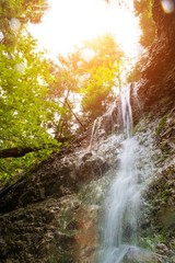 Wall Mural - Waterfall in a forest in Slovak Paradise, Slovakia