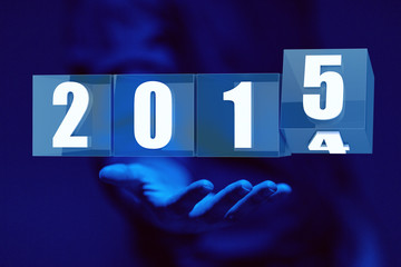 Poster - 2015