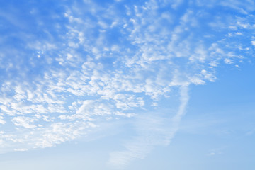 Wall Mural - many small puffy white clouds in blue sunrise sky