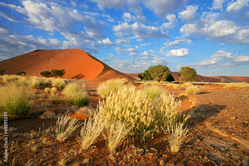 Fotografie, Obraz Desert landscape with red sand dunes, Sossusvlei