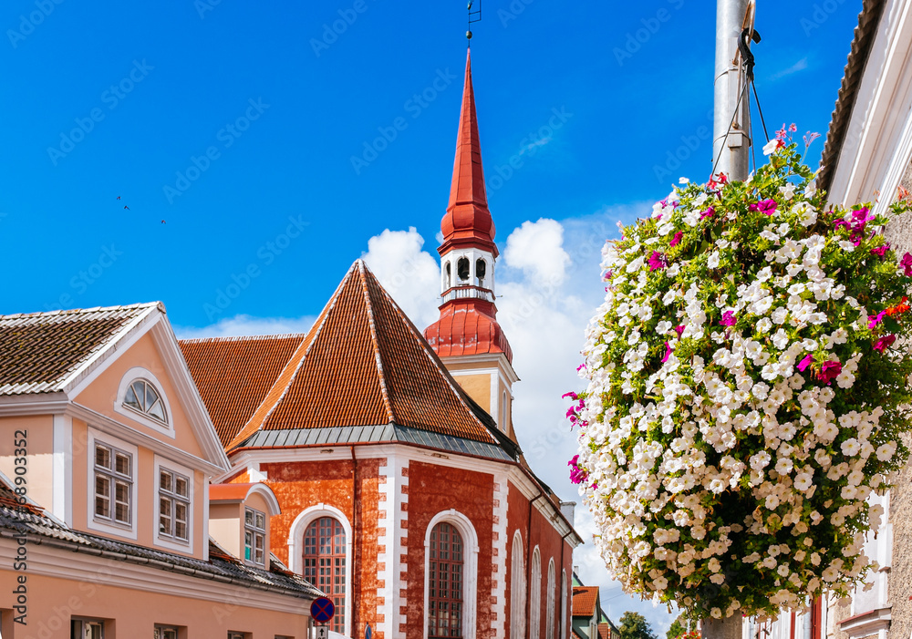 St. Elizabeth's Lutheran Church in Parnu, Estonia - obrazy, fototapety, plakaty 