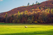 Idyllische Herbstlandschaft - Weserbergland