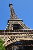 Fototapeta Paryż - Wieża Eifla w Paryżu