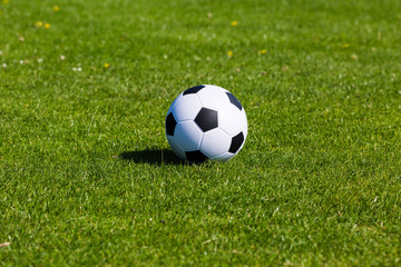 Wall Mural - Green pitch with soccer ball