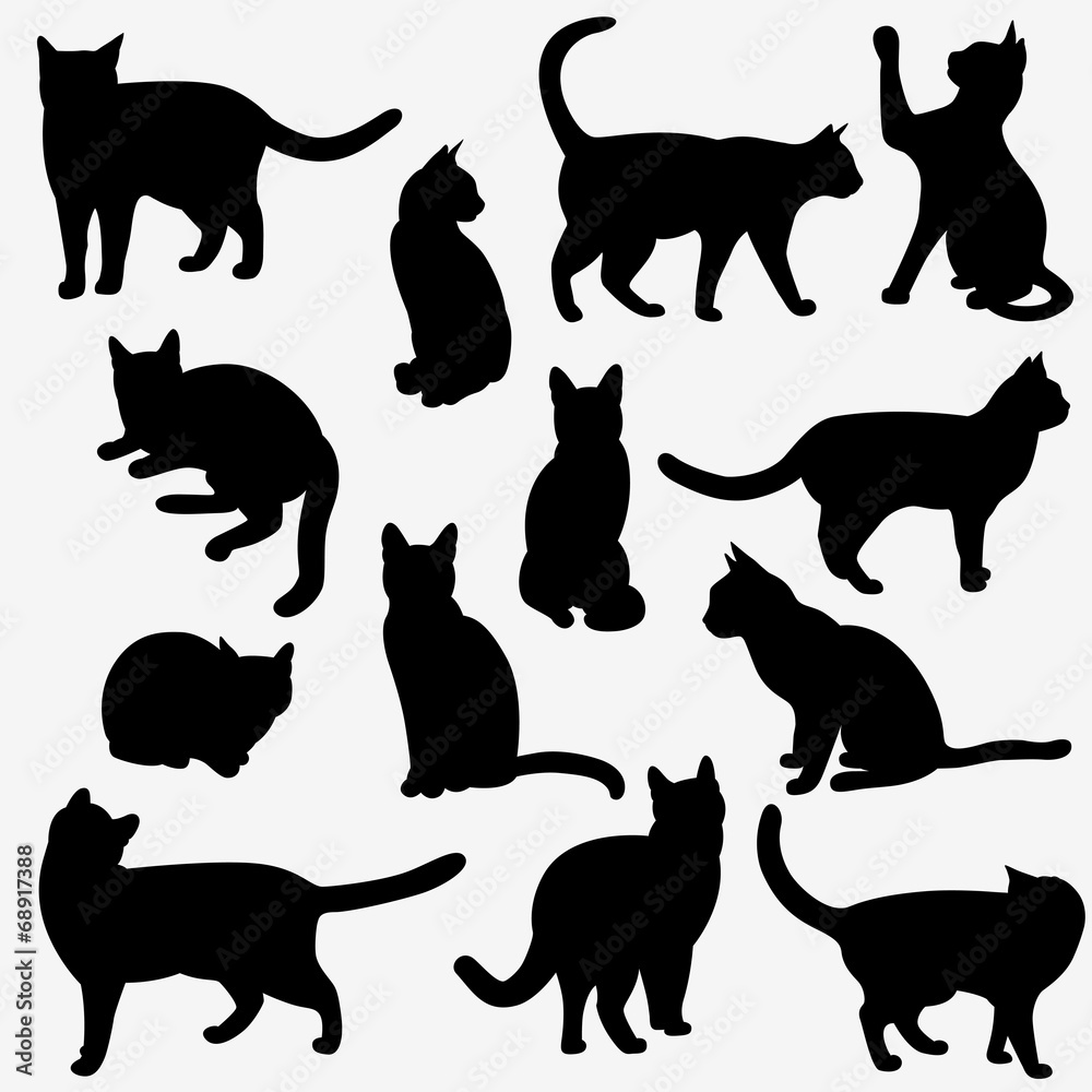 Cats Silhouettes - obrazy, fototapety, plakaty 
