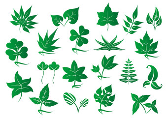 Sticker - Green leaves and plants set