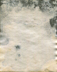 Wall Mural - Moldy old watercolor paper texture