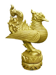 Thai golden swan