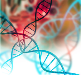 Wall Mural - DNA structure.