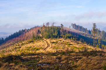 Poster - Autumn view on hills