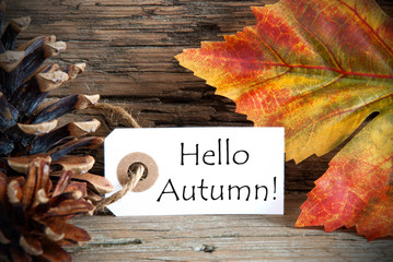 Wall Mural - Banner with Hello Autumn