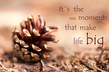 Fir Cone with Saying Its the little Moments that make Life Big