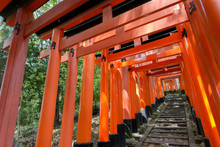Thousands Of Torii With Stone Steps