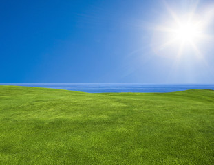Wall Mural - Beautiful green landscape