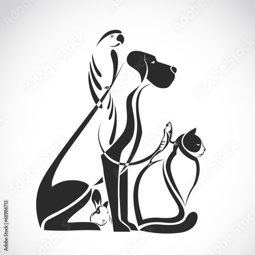 Fototapeta do kuchni Vector group of pets - Dog, cat, bird, reptile, rabbit