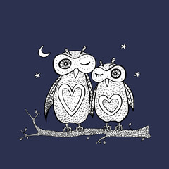 Two cute decorative owls.