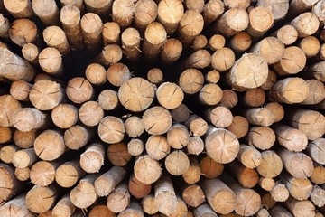 Woodpile of cut Lumber