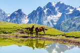 Fototapeta Konie - Horse in mountains