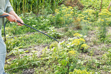 Canvas Print - farmer spraying of pesticide on country garden