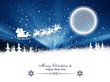 © Alisa Miarts - Merry Christmas and Happy New Year