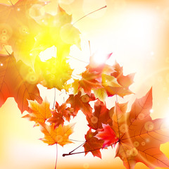 Wall Mural - Delicate autumn sun with glare on gold sky.