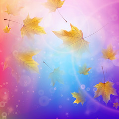 Wall Mural - Beautiful autumn Leaves.