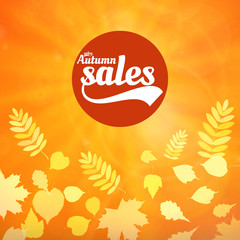 Wall Mural - Autumn sale realistic Leaves typography poster.