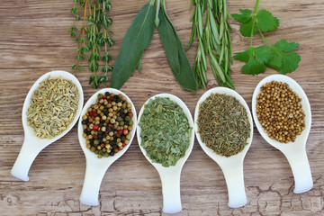 Selection of herbs and spices on porcelain spoons on wood