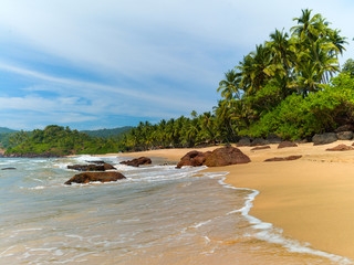 Wall Mural - Beach with palm trees