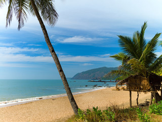 Wall Mural - Beach with palm trees