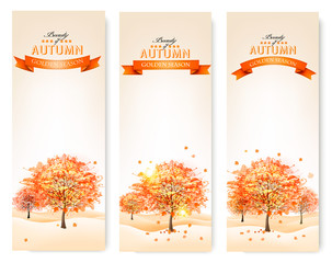 Poster - Autumn background with colorful leaves and trees.Vector illustra