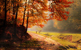 Fototapeta Las - Road along autumn forest