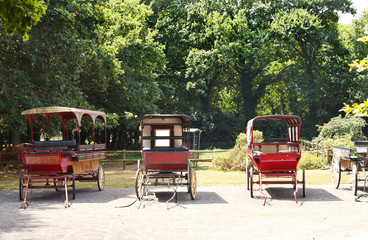 Wall Mural - old carriages in village, France