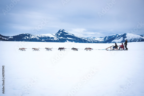 Fotografía Tourists are pulled by a dog sled along the Norris Glacier in Al