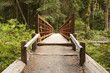 © photogeek - Nature Bridge end near Marymere Falls, Olympic National Park