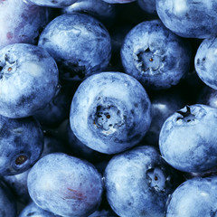 Wall Mural - blueberries background
