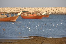 Traditional Omani Fisherman Boat
