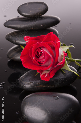 Naklejka - mata magnetyczna na lodówkę Spa stone and rose flowers still life. Healthcare concept.