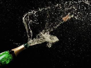 Wall Mural - Champagne splashes on black background