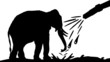 Elephantidae Wash Center - Elefanten Waschstation - 16-9 - g1323