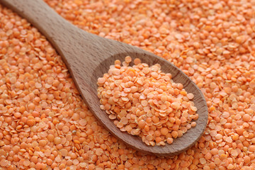 Wall Mural - Red lentils in a wooden spoon