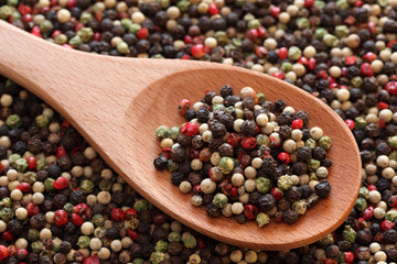 Wall Mural - Mixed peppercorns in a wooden spoon