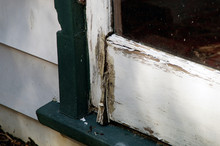 Rotting Door Detail