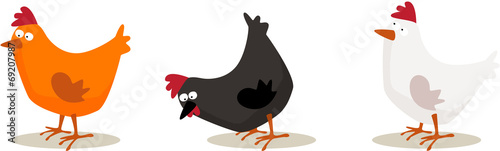 poules